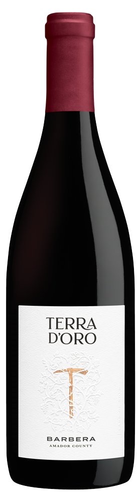 Barbera, Amador County