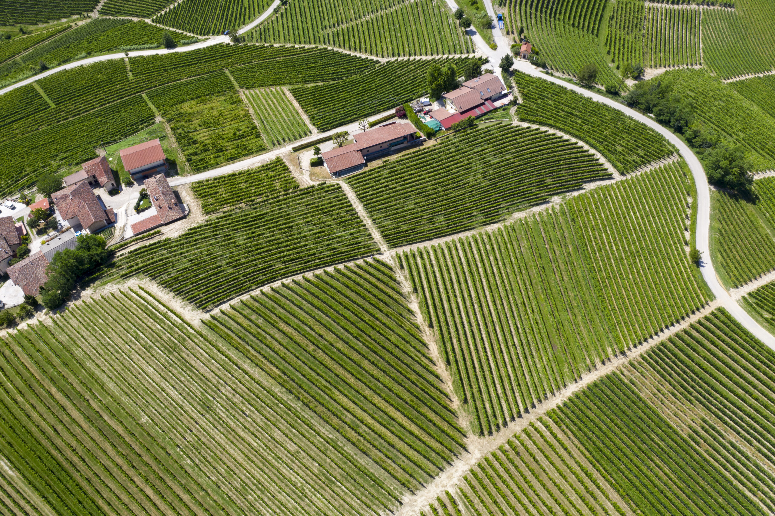 Color arial image of the property Bricco Asili in Italy