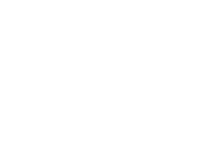 Vall Llach