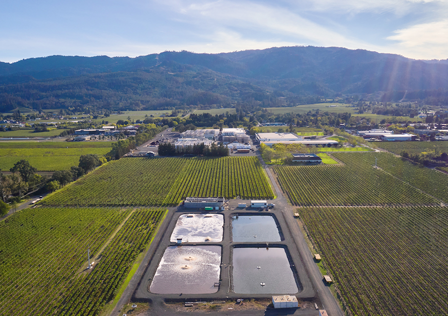 Color photo of an aerial view of man-made ponds among vineyards on a sunny day.